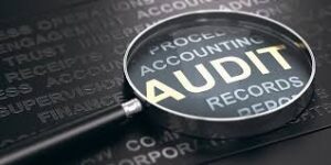 Audit Picture